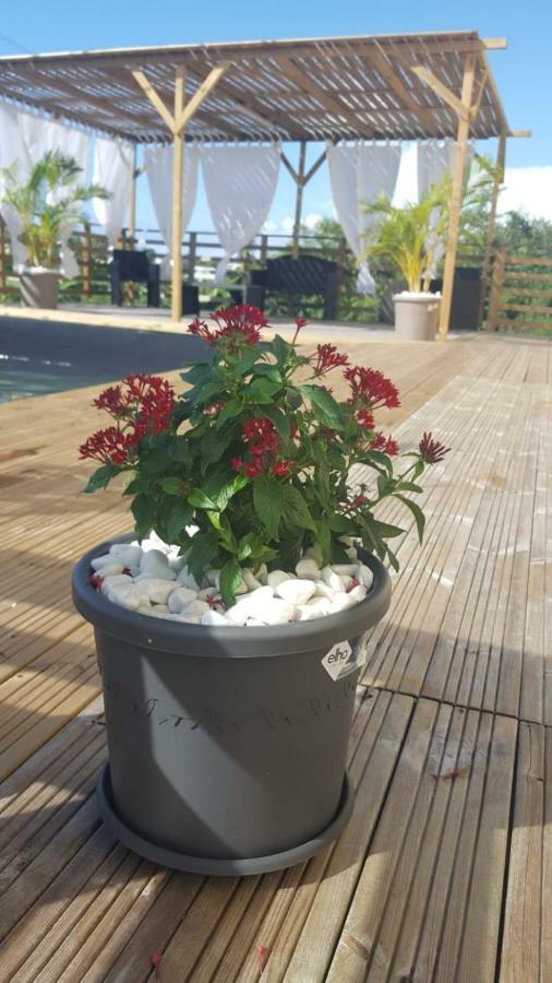 La Villa Soleil :) Sainte-Anne  Ngoại thất bức ảnh